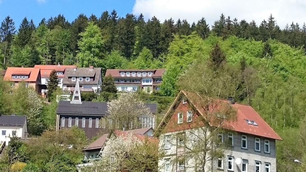 Talblick Bad Grund