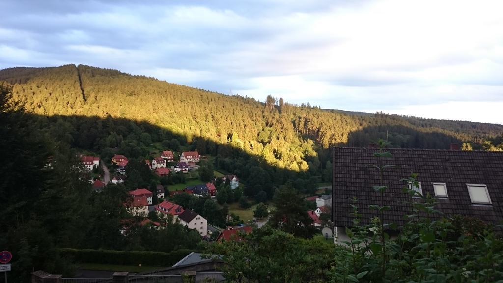 Talblick 2* Bad Grund