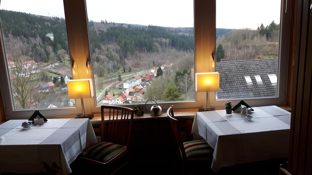 Talblick Bad Grund