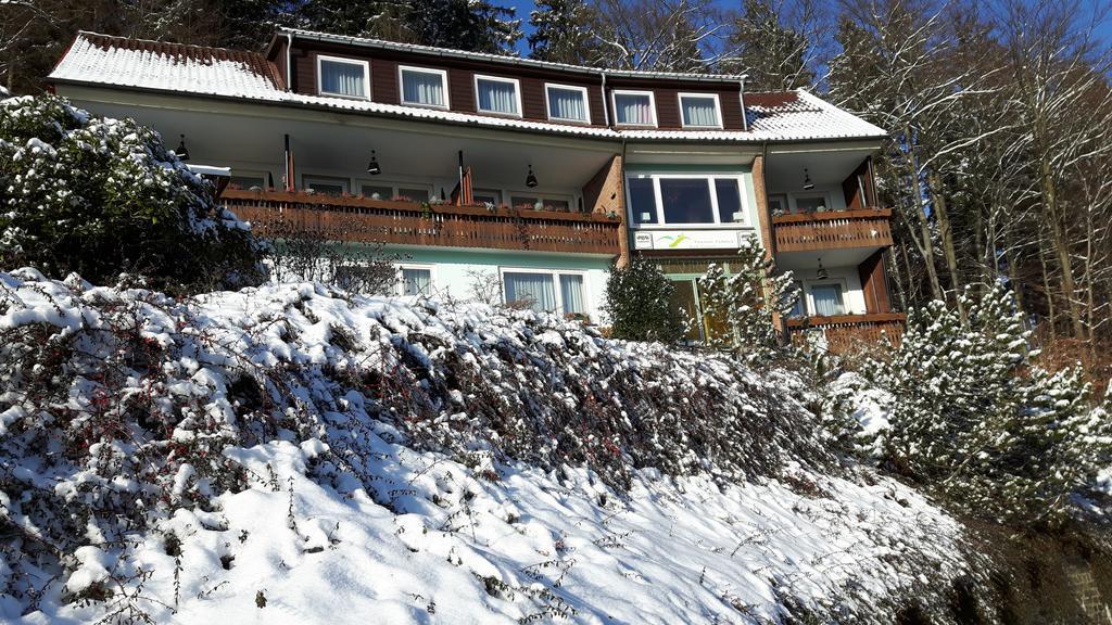 Guest house Talblick Bad Grund